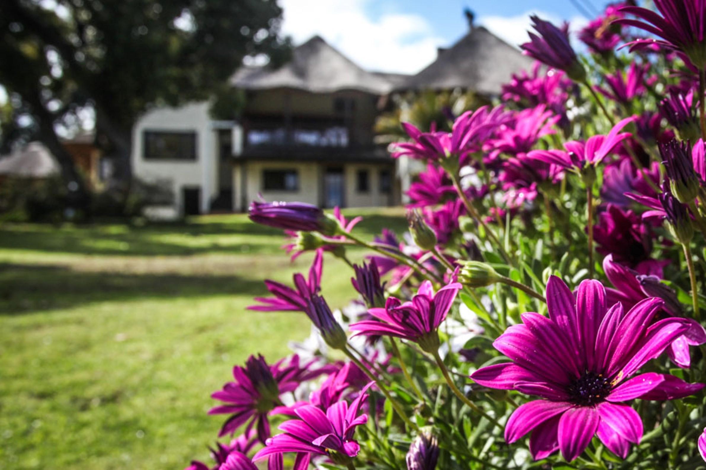 Winelands Villa Guesthouse And Cottages Somerset West Buitenkant foto