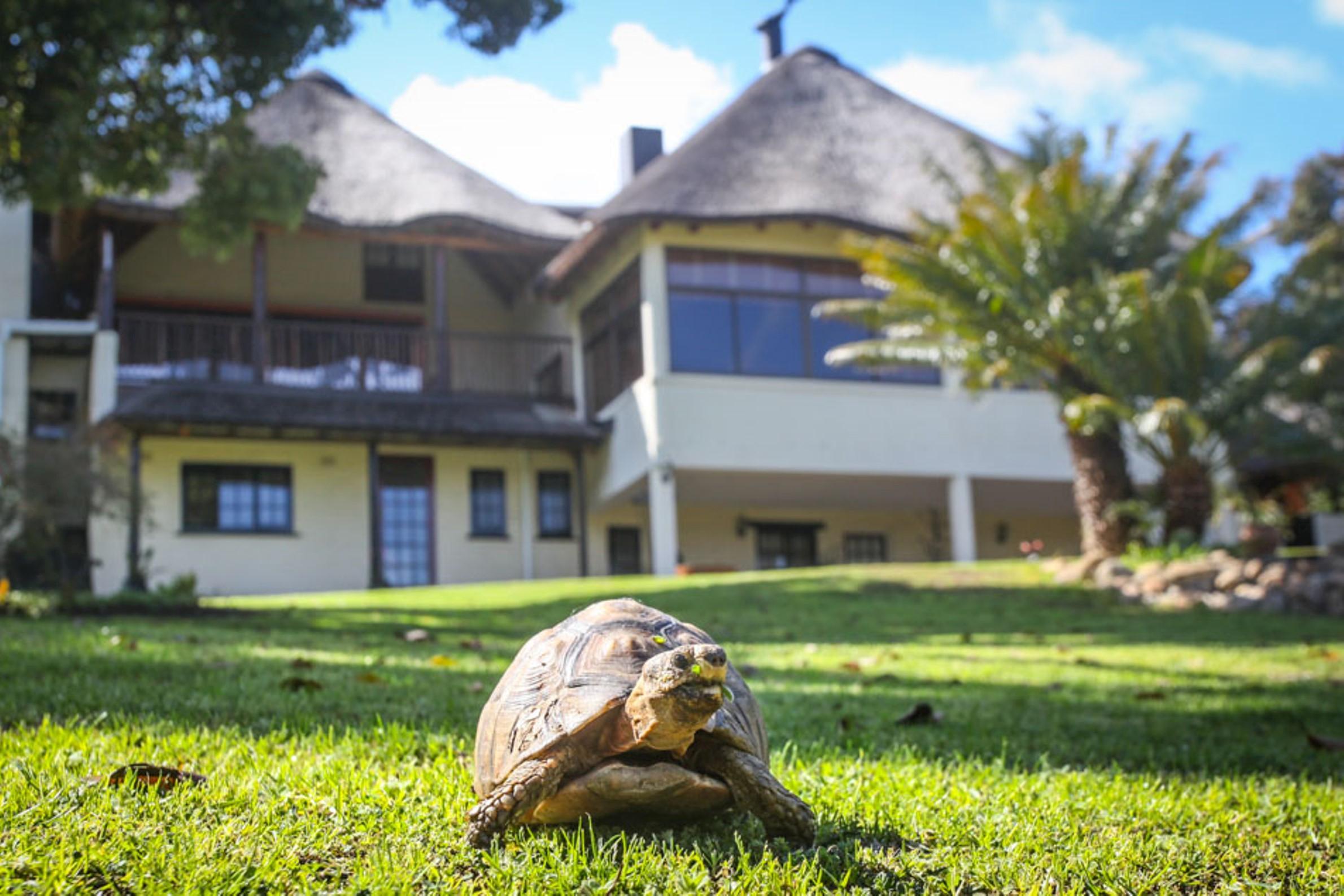 Winelands Villa Guesthouse And Cottages Somerset West Buitenkant foto
