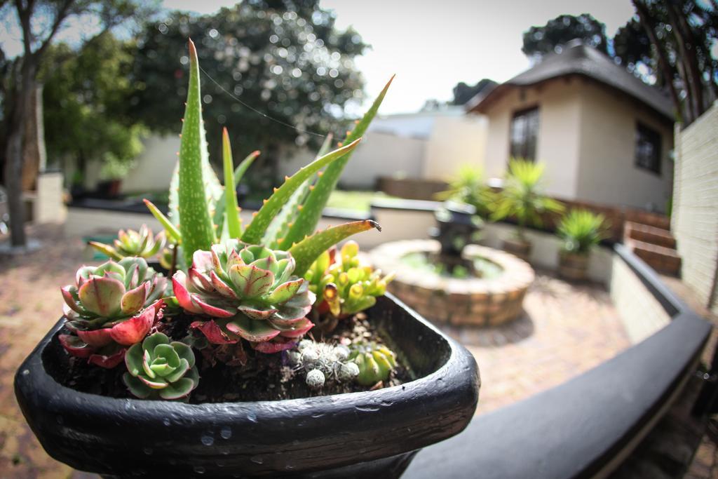 Winelands Villa Guesthouse And Cottages Somerset West Buitenkant foto